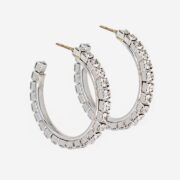 Large Hoop Earrings